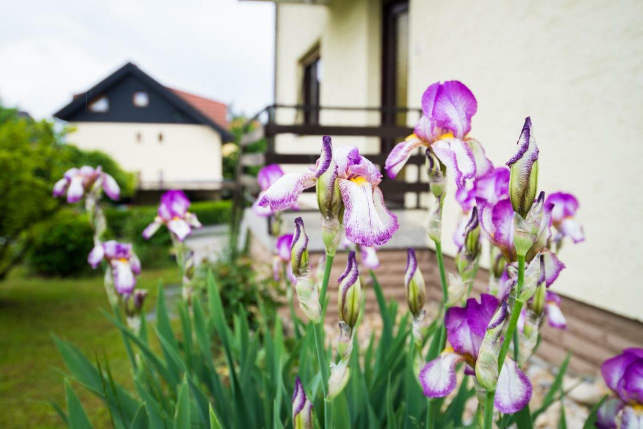 Apartma Ela Bled Zewnętrze zdjęcie